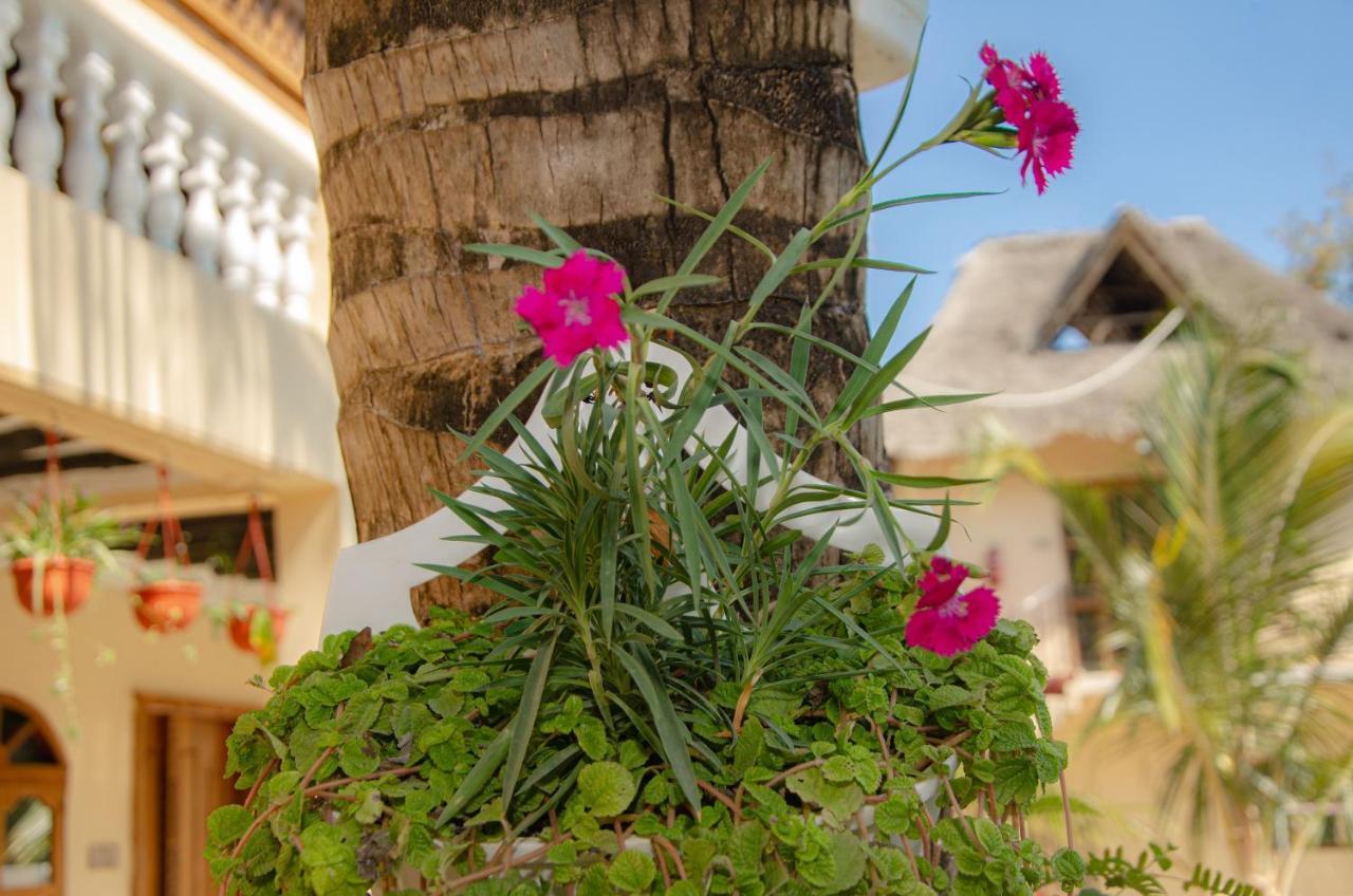 Zanpalm Boutique Hotel Michamvi المظهر الخارجي الصورة